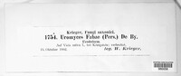 Uromyces viciae-fabae image